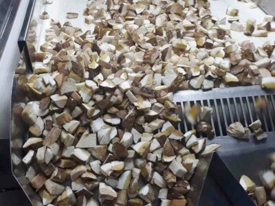 Kasim Čolak: Jedini u BiH otkupljujemo puževe sa kućicom