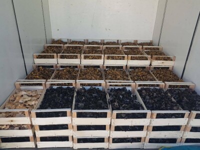 Kasim Čolak: Jedini u BiH otkupljujemo puževe sa kućicom