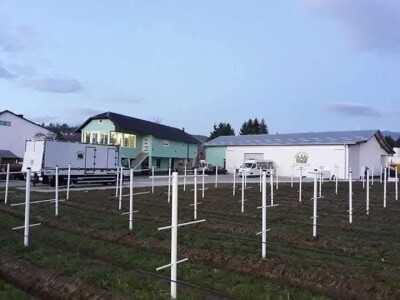 Kasim Čolak: Jedini u BiH otkupljujemo puževe sa kućicom