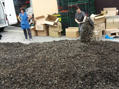 Kasim Čolak: Jedini u BiH otkupljujemo puževe sa kućicom