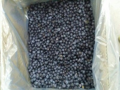 Kasim Čolak: Jedini u BiH otkupljujemo puževe sa kućicom