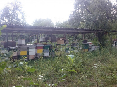 OPG Kastmuller i Valentić