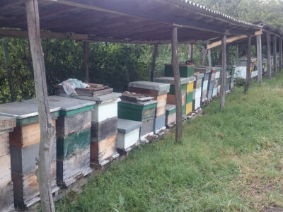 OPG Kastmuller i Valentić