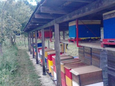 OPG Kastmuller i Valentić