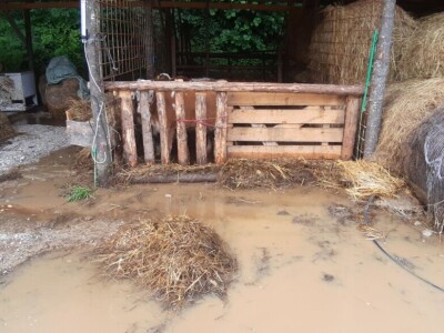 Katastrofalne poplave u Bužimu