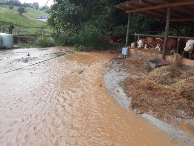 Katastrofalne poplave u Bužimu