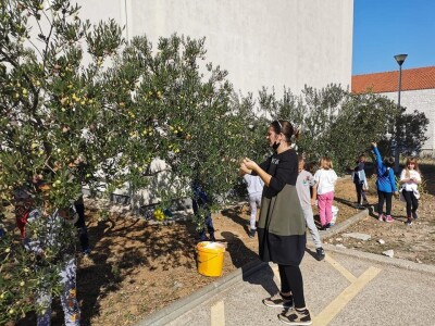 Katolička osnovna škola u Šibeniku