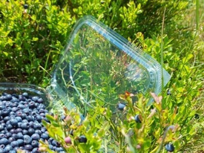 Katunska naselja postaju sve atraktivnije turističke destinacije Katunska naselja postaju sve atraktivnije turističke destinacije