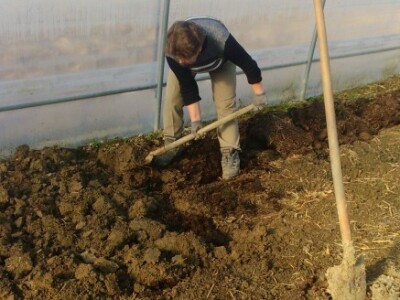 Pomaže i baka Zdenka