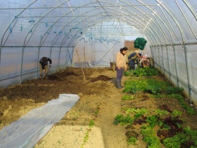 Počeli radovi u plasteniku