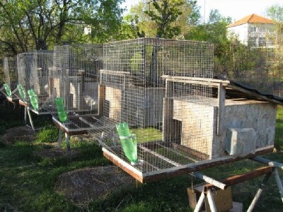 Kavezi za divlje zečeve BZ Pauk-Čeka u gataru