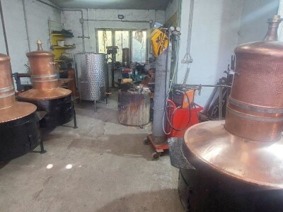 Kazandžija Boško Despotović