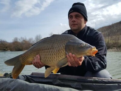 Kemal Avdić ulovio šarana teškog 15 kg na jezeru Starača