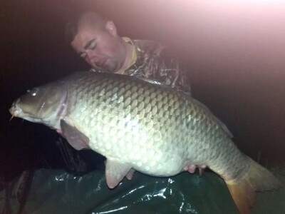 Kemal Avdić ulovio šarana teškog 15 kg na jezeru Starača