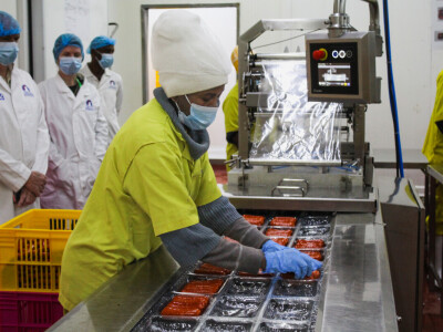 KenChic - prerada piletine u Keniji