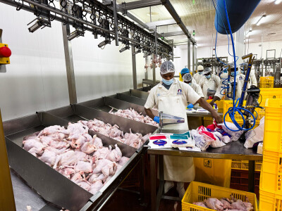 KenChic - prerada piletine u Keniji