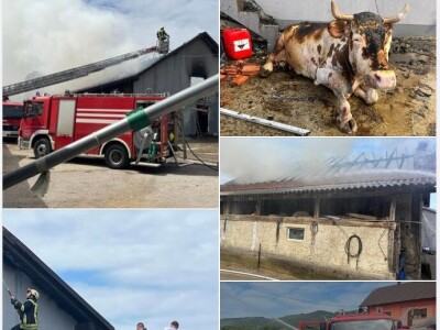 Požar na obiteljskoj farmi krava u Kamešnici