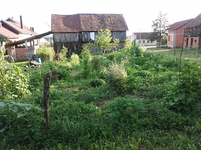 Kikina stvaraonica