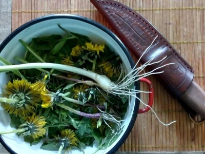 Kikina stvaraonica