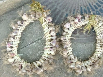 Kikina stvaraonica