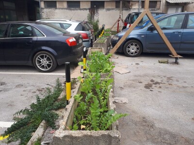 Kinezi uzgajaju povrće u žardinjerama