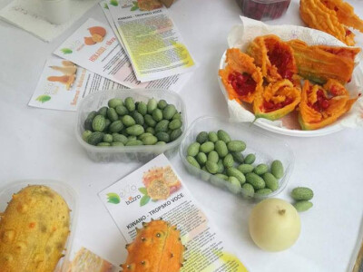 Kiwano i meksički krastavac