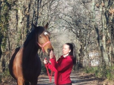 KK "Stina" Sovići (Grude)