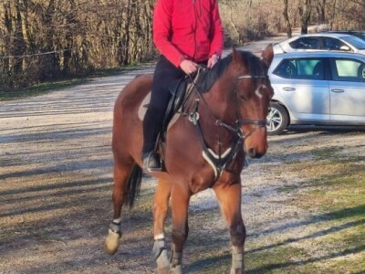 KK "Stina" Sovići (Grude)