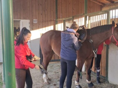 KK "Stina" Sovići (Grude)