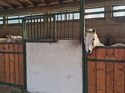 KK "Stina" Sovići (Grude)