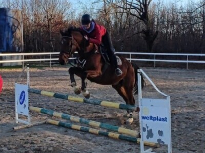 KK "Stina" Sovići (Grude)