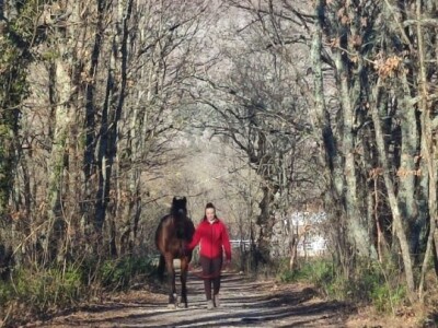 KK "Stina" Sovići (Grude)