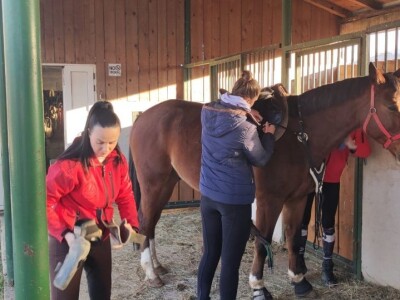 KK "Stina" Sovići (Grude)