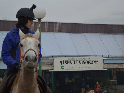 Sajam poljoprivrede u Visokom