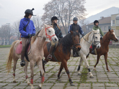 Sajam poljoprivrede u Visokom