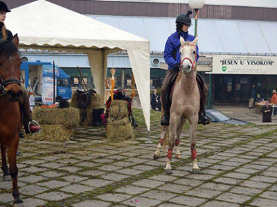 Sajam poljoprivrede u Visokom
