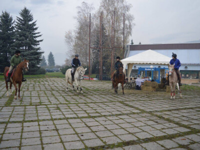 Sajam poljoprivrede u Visokom