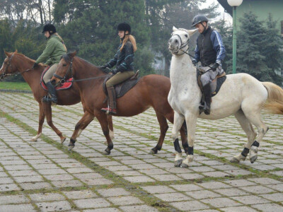 Sajam poljoprivrede u Visokom