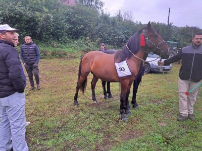 Kladuški dani poljoprivrede 2022