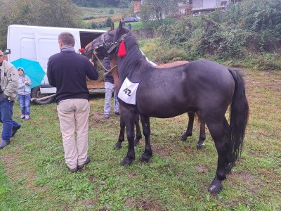 Kladuški dani poljoprivrede 2022