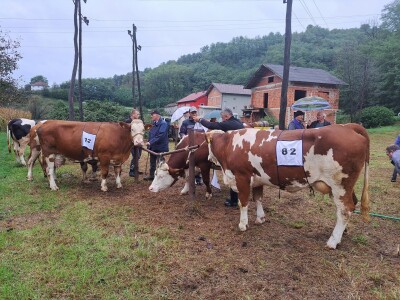Kladuški dani poljoprivrede 2022
