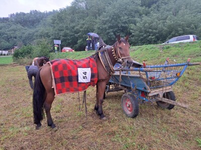 Kladuški dani poljoprivrede 2022