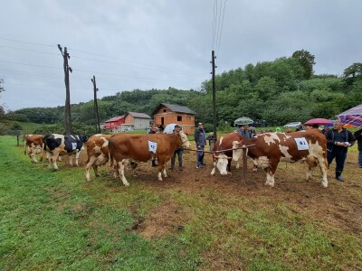 Kladuški dani poljoprivrede 2022