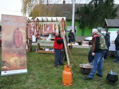 Klaster baranjskog kulena