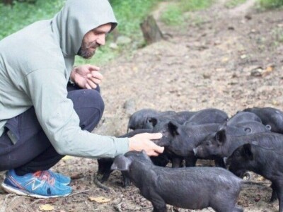 Klaster Made in Papuk