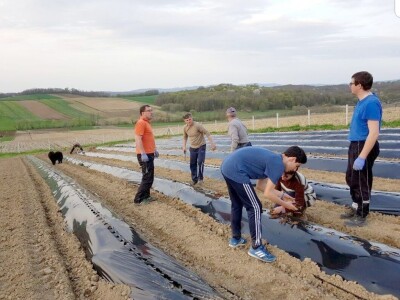 Klaster Made in Papuk