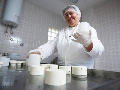 Klaster Made in Papuk