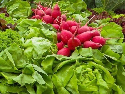 Klaster Made in Papuk