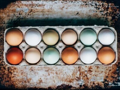 Klaster Made in Papuk