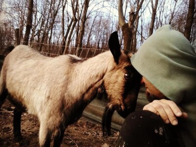 Klaster Made in Papuk